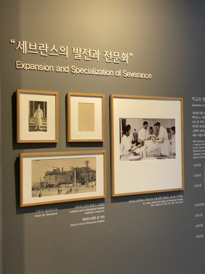 알렌의 선물 - 이미지 20