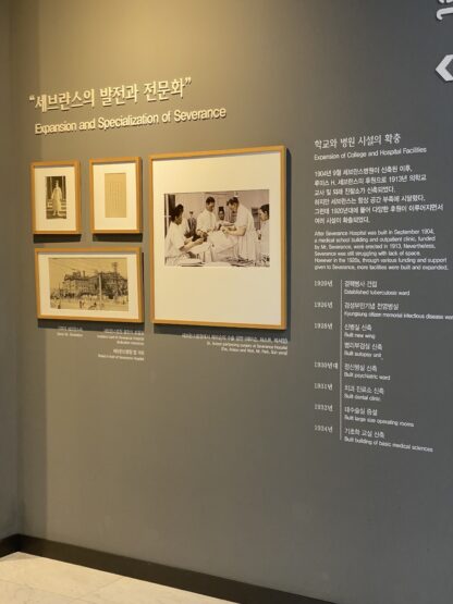 알렌의 선물 - 이미지 13