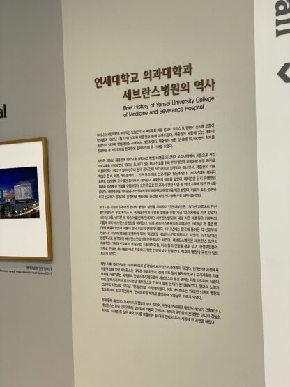 알렌의 선물 - 이미지 6
